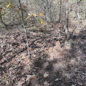 Photo #34 of Off T Tarpey Ln, Sanford, NC 12.6 acres