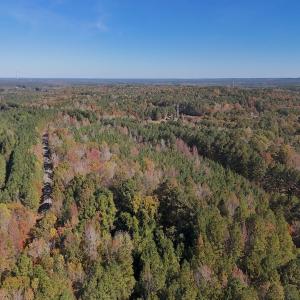 Photo #35 of Off T Tarpey Ln, Sanford, NC 12.6 acres