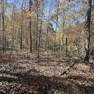Photo #36 of Off T Tarpey Ln, Sanford, NC 12.6 acres