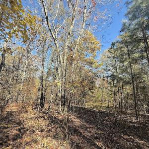 Photo #37 of Off T Tarpey Ln, Sanford, NC 12.6 acres
