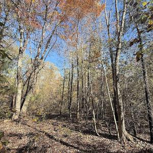 Photo #38 of Off T Tarpey Ln, Sanford, NC 12.6 acres