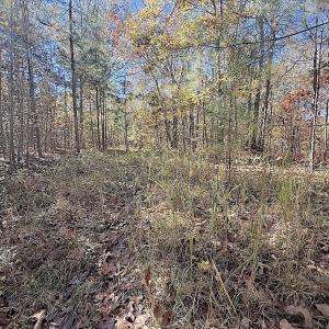 Photo #39 of Off T Tarpey Ln, Sanford, NC 12.6 acres