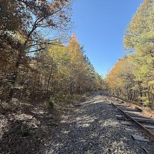 Photo #6 of Off T Tarpey Ln, Sanford, NC 12.6 acres