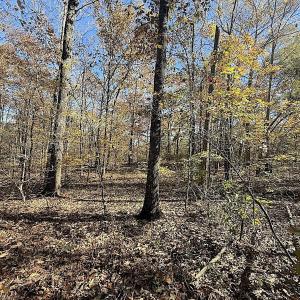 Photo #7 of Off T Tarpey Ln, Sanford, NC 12.6 acres