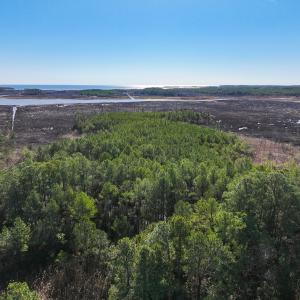 Photo #11 of Off Buzzard point Rd, Diggs, VA 248.1 acres