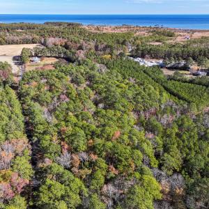 Photo #13 of Off Buzzard point Rd, Diggs, VA 248.1 acres