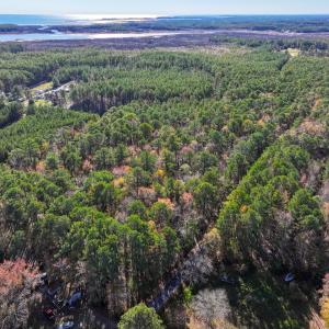 Photo #15 of Off Buzzard point Rd, Diggs, VA 248.1 acres