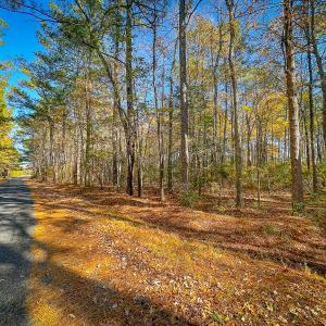 Photo #16 of Off Buzzard point Rd, Diggs, VA 248.1 acres