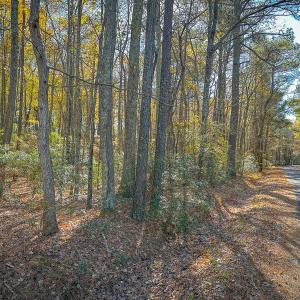 Photo #17 of Off Buzzard point Rd, Diggs, VA 248.1 acres