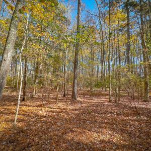 Photo #18 of Off Buzzard point Rd, Diggs, VA 248.1 acres