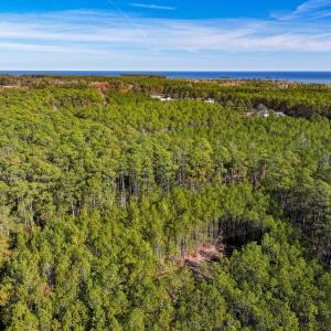 Photo #20 of Off Buzzard point Rd, Diggs, VA 248.1 acres