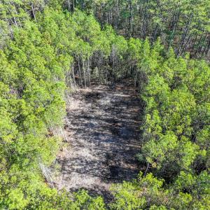 Photo #21 of Off Buzzard point Rd, Diggs, VA 248.1 acres