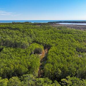 Photo #1 of Off Buzzard point Rd, Diggs, VA 248.1 acres