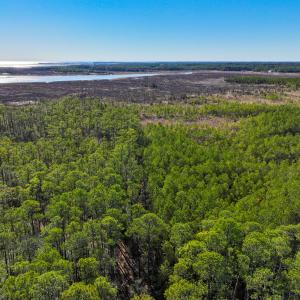 Photo #2 of Off Buzzard point Rd, Diggs, VA 248.1 acres