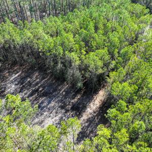 Photo #22 of Off Buzzard point Rd, Diggs, VA 248.1 acres