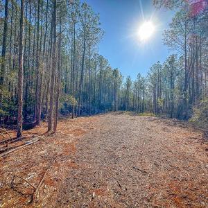 Photo #23 of Off Buzzard point Rd, Diggs, VA 248.1 acres