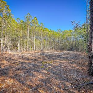 Photo #24 of Off Buzzard point Rd, Diggs, VA 248.1 acres