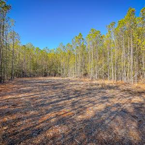 Photo #25 of Off Buzzard point Rd, Diggs, VA 248.1 acres