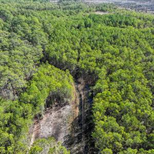 Photo #26 of Off Buzzard point Rd, Diggs, VA 248.1 acres