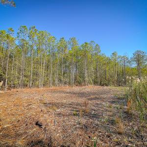 Photo #27 of Off Buzzard point Rd, Diggs, VA 248.1 acres