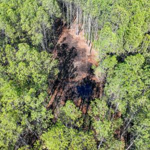 Photo #28 of Off Buzzard point Rd, Diggs, VA 248.1 acres