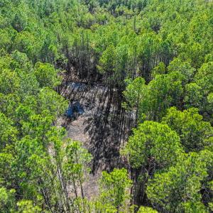 Photo #29 of Off Buzzard point Rd, Diggs, VA 248.1 acres