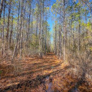 Photo #30 of Off Buzzard point Rd, Diggs, VA 248.1 acres