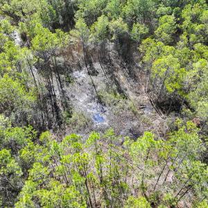 Photo #33 of Off Buzzard point Rd, Diggs, VA 248.1 acres