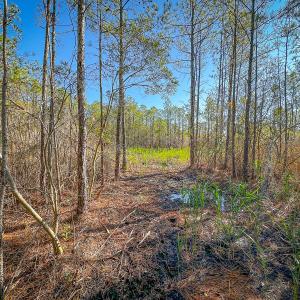 Photo #35 of Off Buzzard point Rd, Diggs, VA 248.1 acres