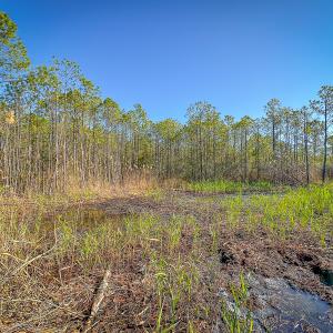 Photo #36 of Off Buzzard point Rd, Diggs, VA 248.1 acres