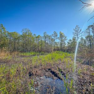 Photo #37 of Off Buzzard point Rd, Diggs, VA 248.1 acres
