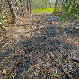 Photo #38 of Off Buzzard point Rd, Diggs, VA 248.1 acres