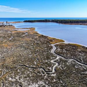 Photo #5 of Off Buzzard point Rd, Diggs, VA 248.1 acres