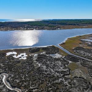 Photo #6 of Off Buzzard point Rd, Diggs, VA 248.1 acres