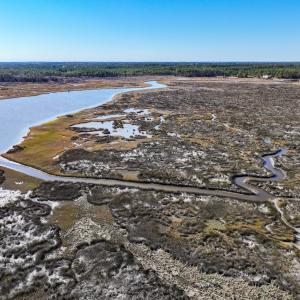 Photo #7 of Off Buzzard point Rd, Diggs, VA 248.1 acres