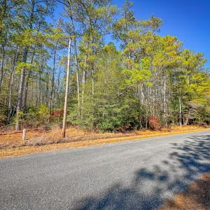 Photo #41 of Off Buzzard point Rd, Diggs, VA 248.1 acres