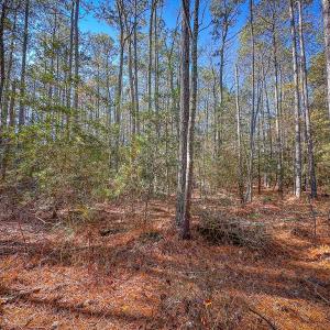 Photo #42 of Off Buzzard point Rd, Diggs, VA 248.1 acres