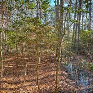 Photo #43 of Off Buzzard point Rd, Diggs, VA 248.1 acres