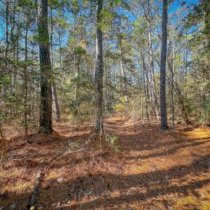 Photo #44 of Off Buzzard point Rd, Diggs, VA 248.1 acres