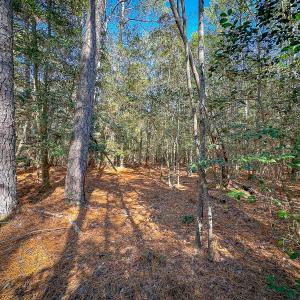 Photo #45 of Off Buzzard point Rd, Diggs, VA 248.1 acres