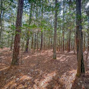 Photo #46 of Off Buzzard point Rd, Diggs, VA 248.1 acres