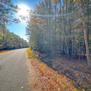 Photo #47 of Off Buzzard point Rd, Diggs, VA 248.1 acres