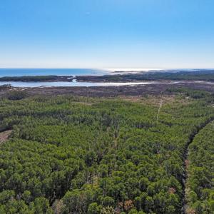 Photo #48 of Off Buzzard point Rd, Diggs, VA 248.1 acres