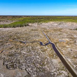 Photo #49 of Off Buzzard point Rd, Diggs, VA 248.1 acres