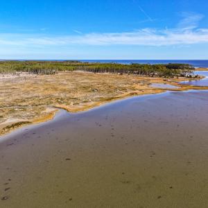 Photo #51 of Off Buzzard point Rd, Diggs, VA 248.1 acres