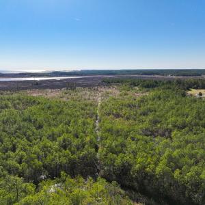 Photo #53 of Off Buzzard point Rd, Diggs, VA 248.1 acres