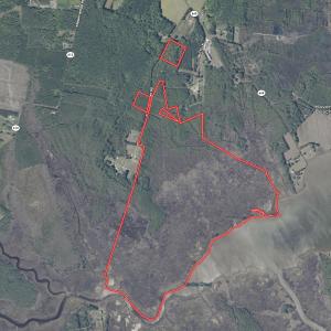 Photo #55 of Off Buzzard point Rd, Diggs, VA 248.1 acres