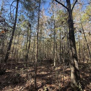 Photo #10 of Off T Tarpey Ln, Sanford, NC 12.6 acres