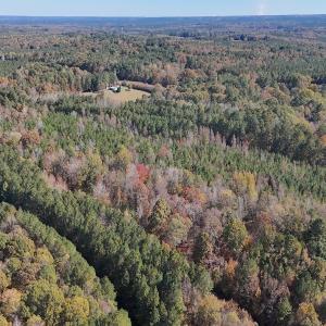 Photo #11 of Off T Tarpey Ln, Sanford, NC 12.6 acres
