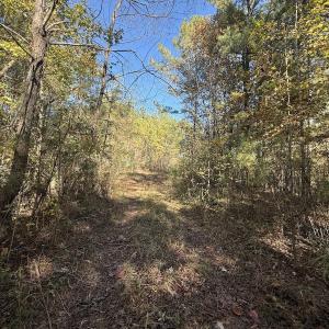 Photo #13 of Off T Tarpey Ln, Sanford, NC 12.6 acres